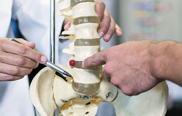 Spine Trauma & Fracture Stabilization